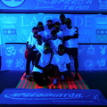 SAM 1060