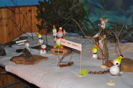 tournoi de noël 2010 (11)